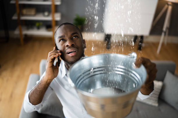 Best Water damage cleanup near me  in Thruston, KY