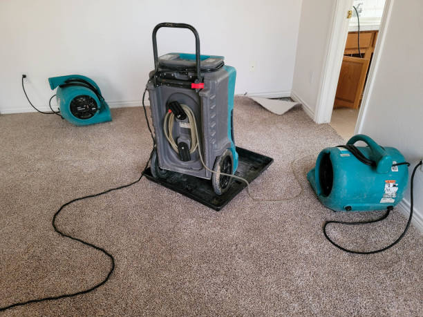 Best Fire Damage Restoration  in Thruston, KY