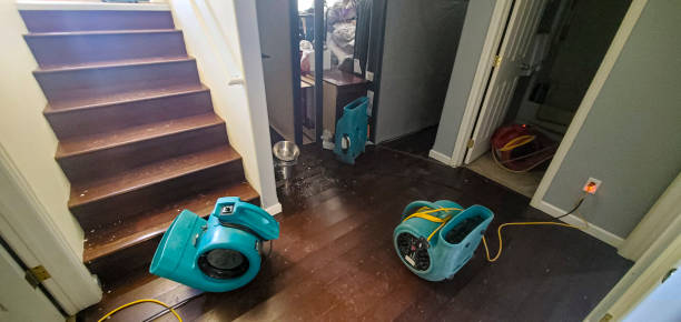 Best Professional water damage repair  in Thruston, KY
