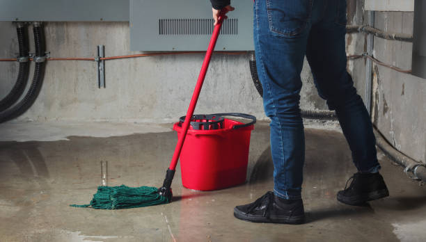 Best Flood damage cleanup  in Thruston, KY