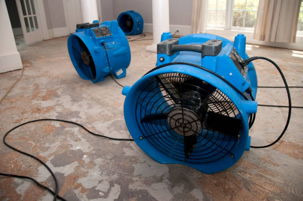 Best Emergency water damage restoration  in Thruston, KY
