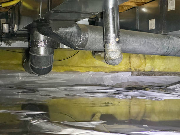 Best Water damage contractors near me  in Thruston, KY