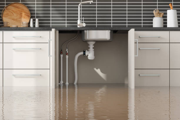 Best Water damage restoration near me  in Thruston, KY