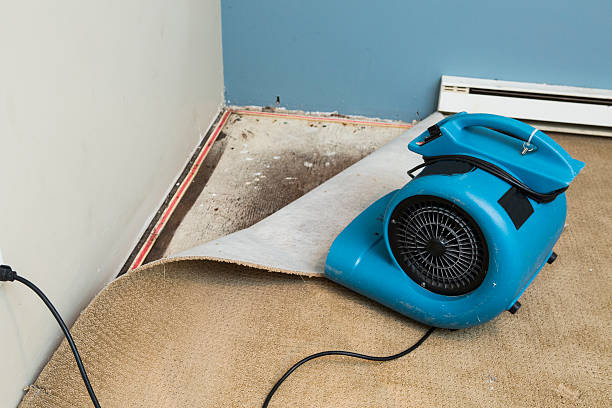 24/7 water damage repair in Thruston, KY